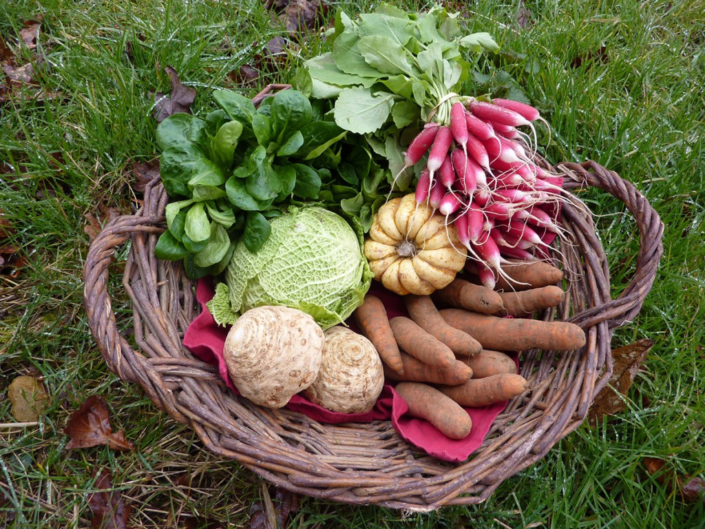 GIE Le Giraumon Légumes bio